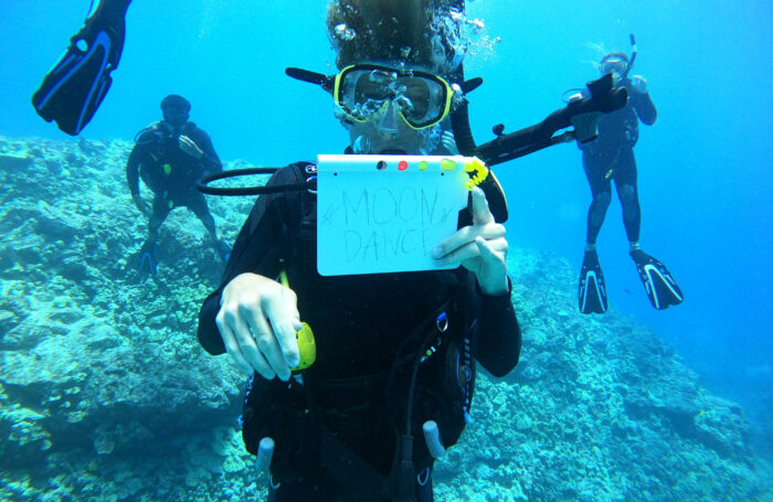 Spring Break Belize